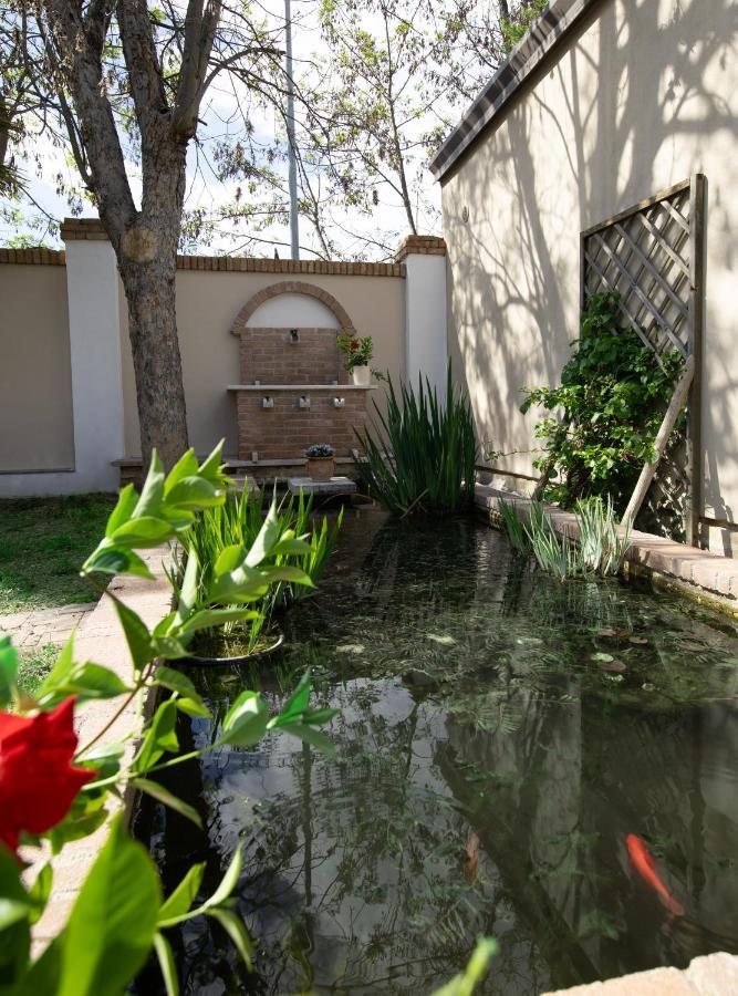 Villa Luce Assisi Rooms & Suites מראה חיצוני תמונה